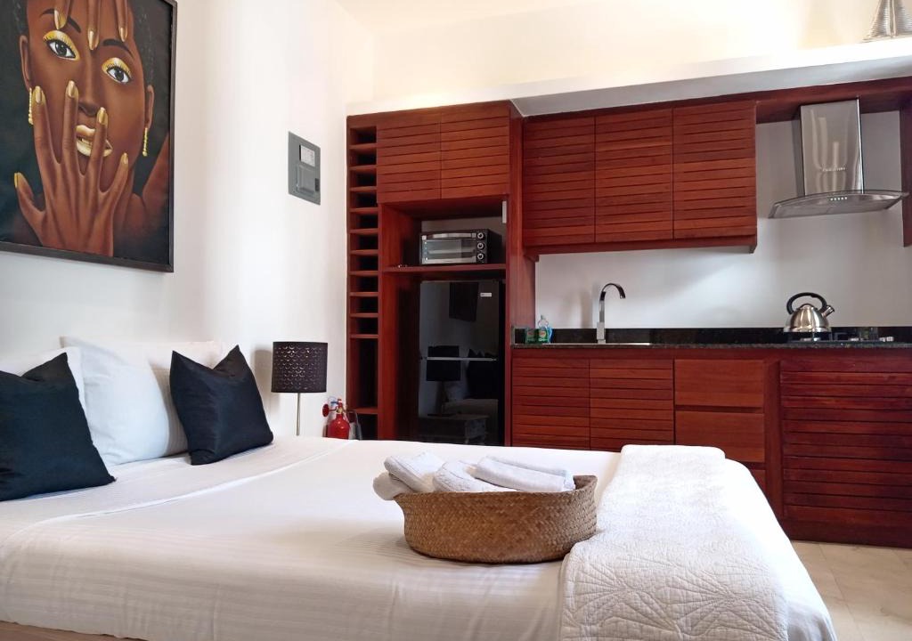 Zona Colonial Apartment | Boutique Hotel Casa Grande, Chocolate Paradise, Estudio superior con Cocina