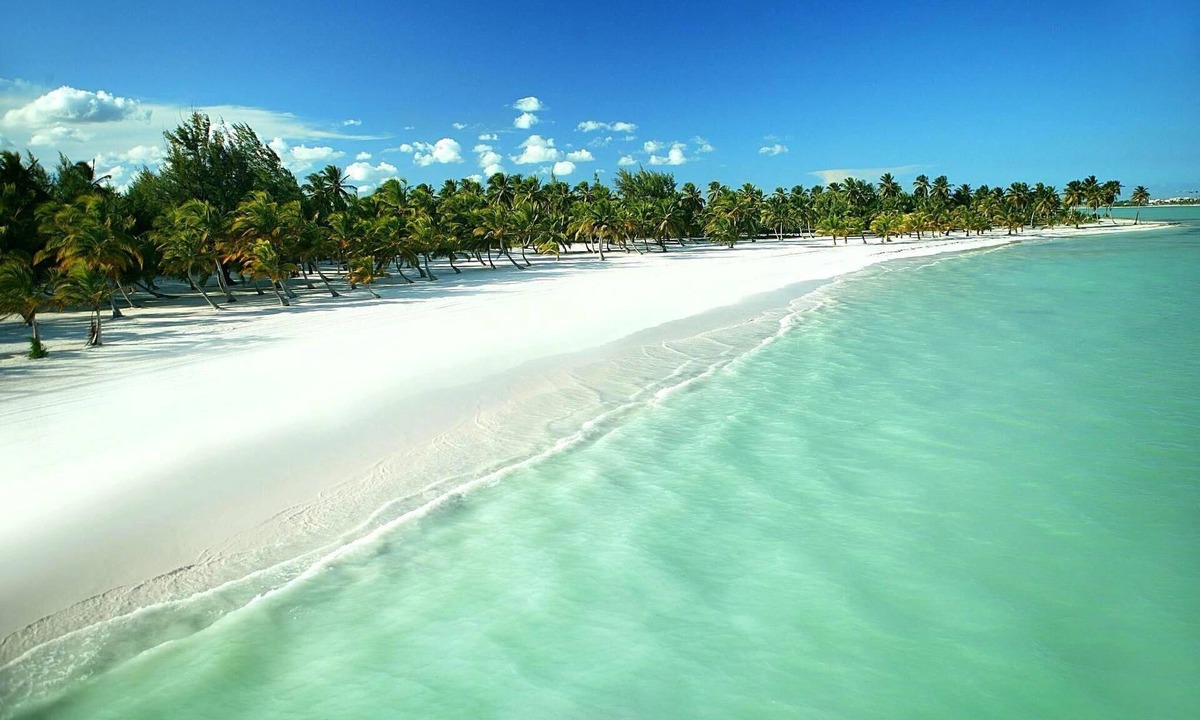 Punta Cana Apartment | Green Wood | Elegant Cap Cana Stay