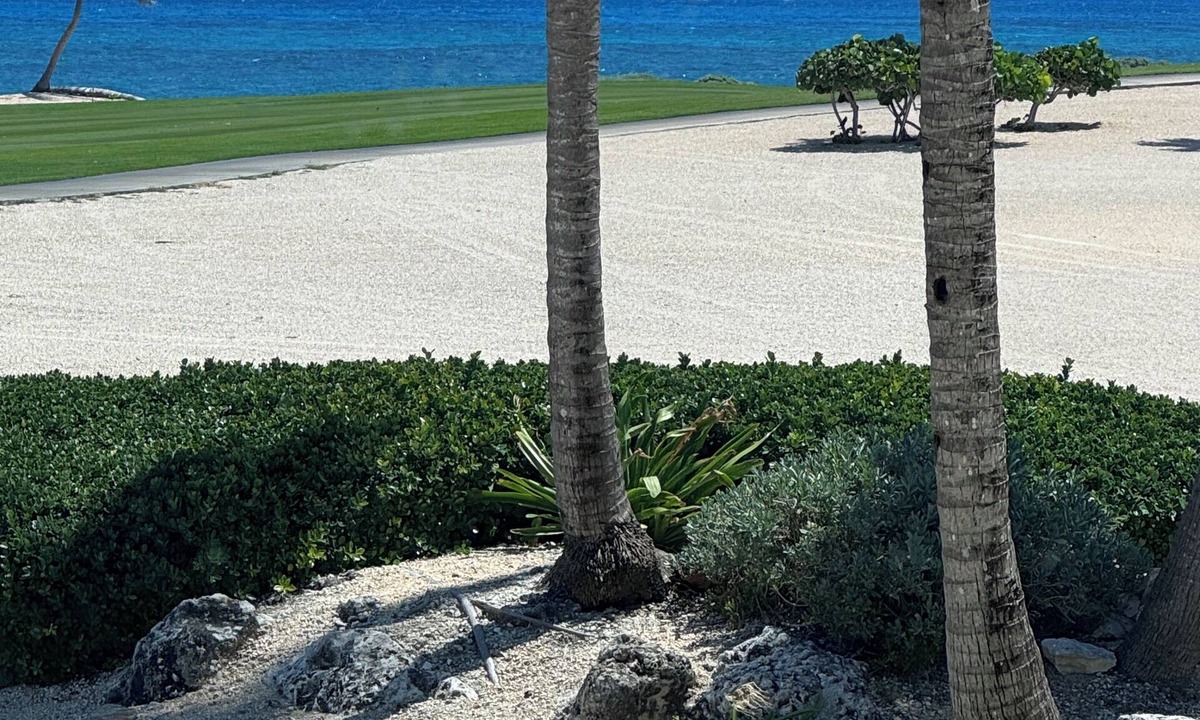 Punta Cana Apartment | OCEAN Golf VIEW Chic 2 bedr appt 5 p max fitness r. WiFipool fabulous Cap Cana