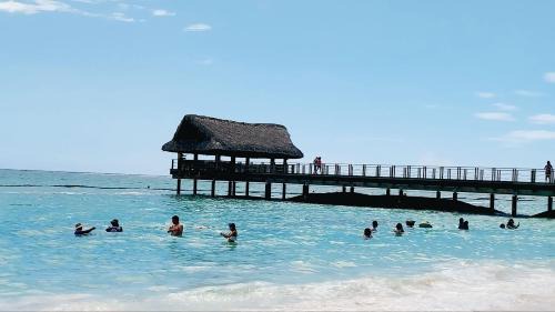 Bavaro Hotel | Punta Cana Beach Hotel Pool Garden I