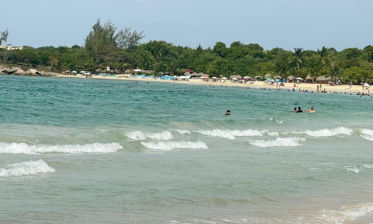 Playa Bibijagua Apartment | Steps to the beach 2