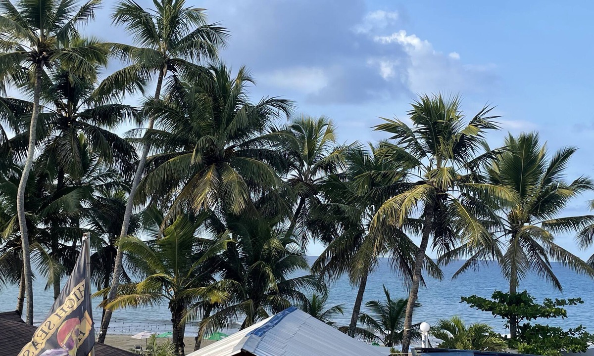 Cabarete House | Wing Camp