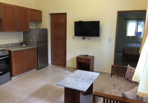 A downtown one bedroom condo with 1.5 bathrooms