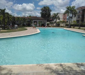 Paradise 