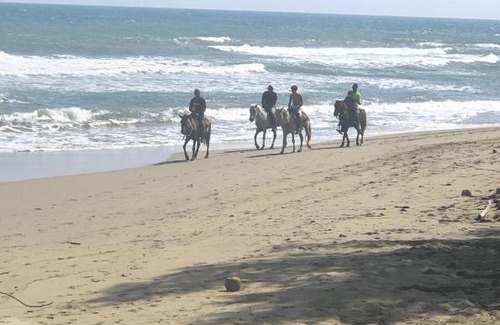 Cabarete Apartment | Cabarete Beachfront - Casa De Playa
