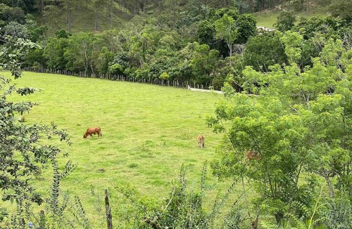 Jarabacoa House | An entire cabin to enjoy with your family