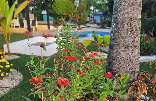 Higuey Cabin | cabaña elin un encuentro con la naturaleza