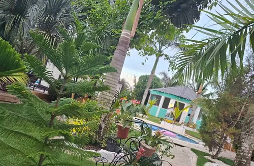 Higuey Cabin | cabaña elin un encuentro con la naturaleza