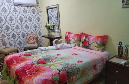 San Anton Apartment | Canapalma Zona Colonial