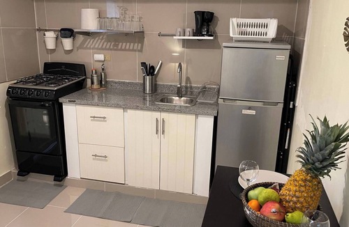 Alma Rosa Apartment | Cozy, CENTRIC Apartment in Central Santo Domingo Este