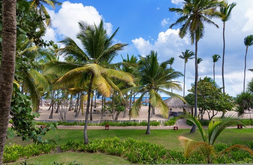 Bavaro Resort | Iberostar Selection Coral Bávaro - All Inclusive