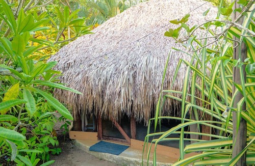 La Iglesia Other | Jungle Hut B&B - Playa Popy a 250m - Nature Lovers
