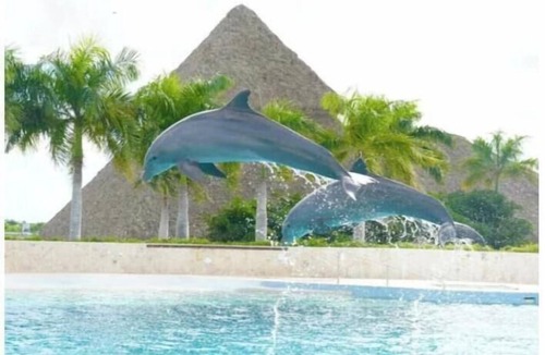 Punta Cana Apartment | MAREA | Luxury Residence