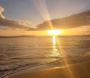 Samana Apartment | Modern and Tropical Stay The Blue Reef #L