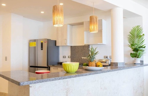Las Terrenas Apartment | Oceanfront Penthouse: Playa Coson