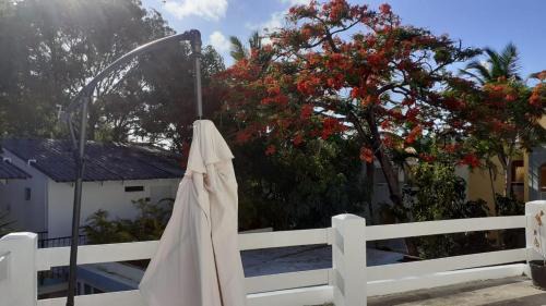 El Batey House | Room #23 at Waterfront Playa Alicia