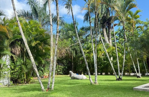 Las Terrenas Bed & Breakfast | Terra Taina Boutique Bed&Breakfast