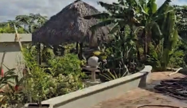 8 BR Private Ocean View and Jungle Estate with Pools &