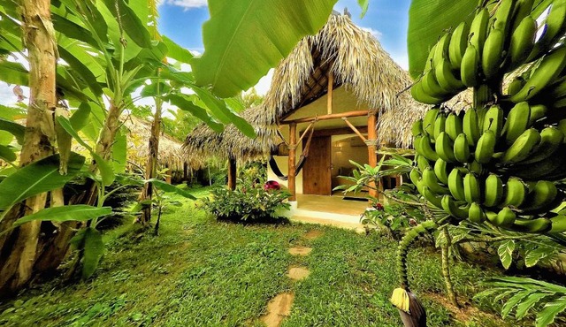 Casa Picaflor B&B- Playa Popy a 250m in Las Terrenas