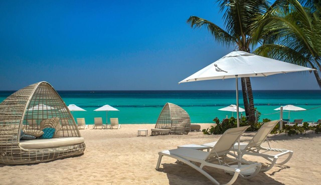 Catalonia Royal La Romana - All Inclusive - Adults Only in San Rafael del Yuma