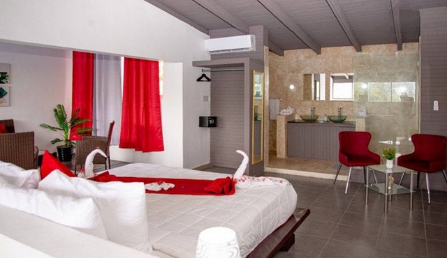 Chica-friendly penthouse suite with pool/AC/WiFi/cable TV