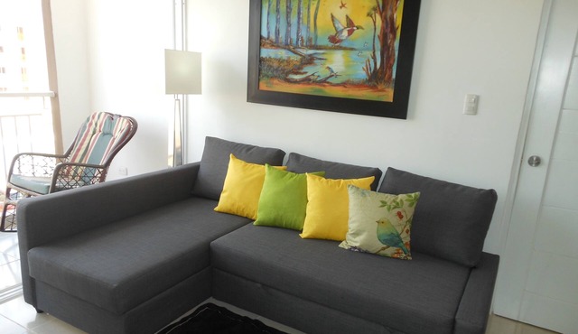 Comfortable 3 bedroom Apartment /parking/wifi