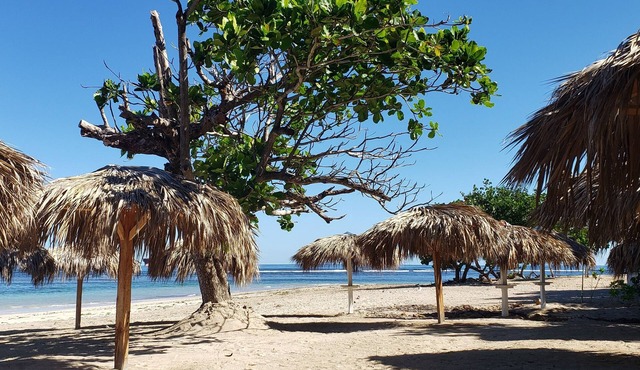 Costambar Beachside Apartment with Pool in Puerto Plata