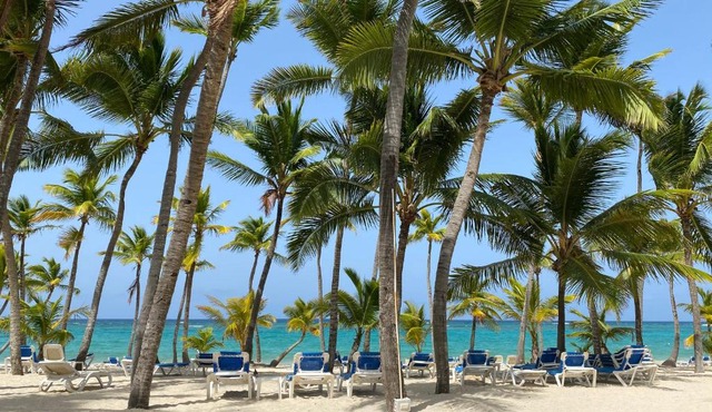 EXECUTIVE SUITES DUCASSI - ROOFTOP POOL and BEACH CLUB in Punta Cana