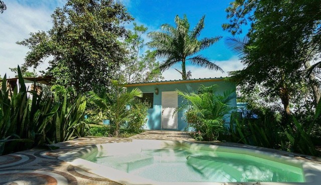 House Under the Palm Trees (with pool and hot tub) in Jarabacoa