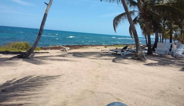 Life in the Sea in Playa Juan Dolio