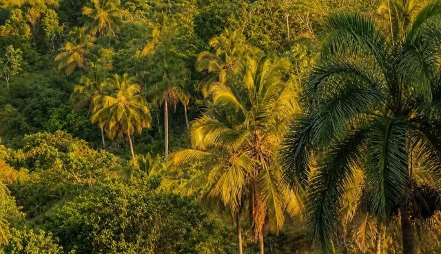 Pleasant, nature, total tranquillity 2 in as Galeras