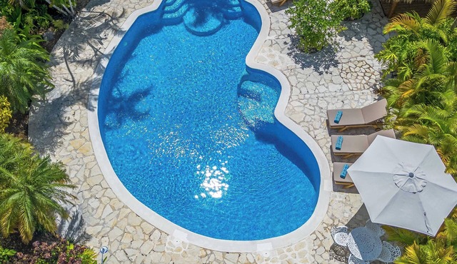 Pure Caribbean style villa/Pool/Pool/600mbeach-resort