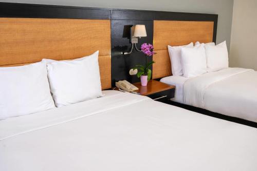 Radisson Hotel Santo Domingo