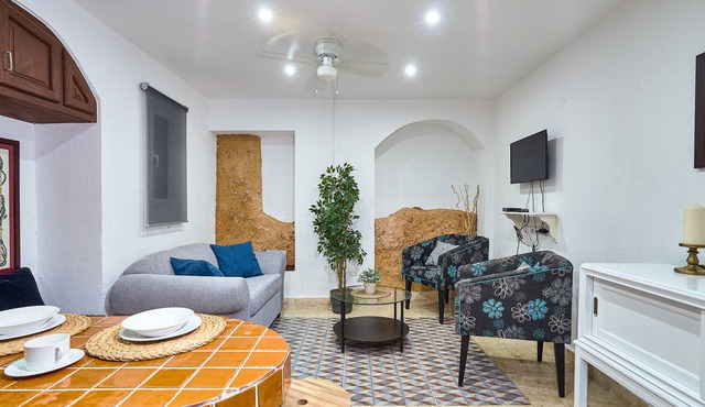 Splendid two bedrooms Colonial loft with Roof Top Terrace