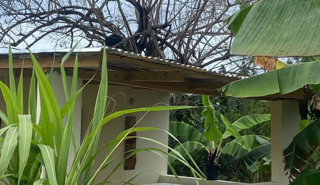 THE CONUCO COTTAGE (pet-friendly)