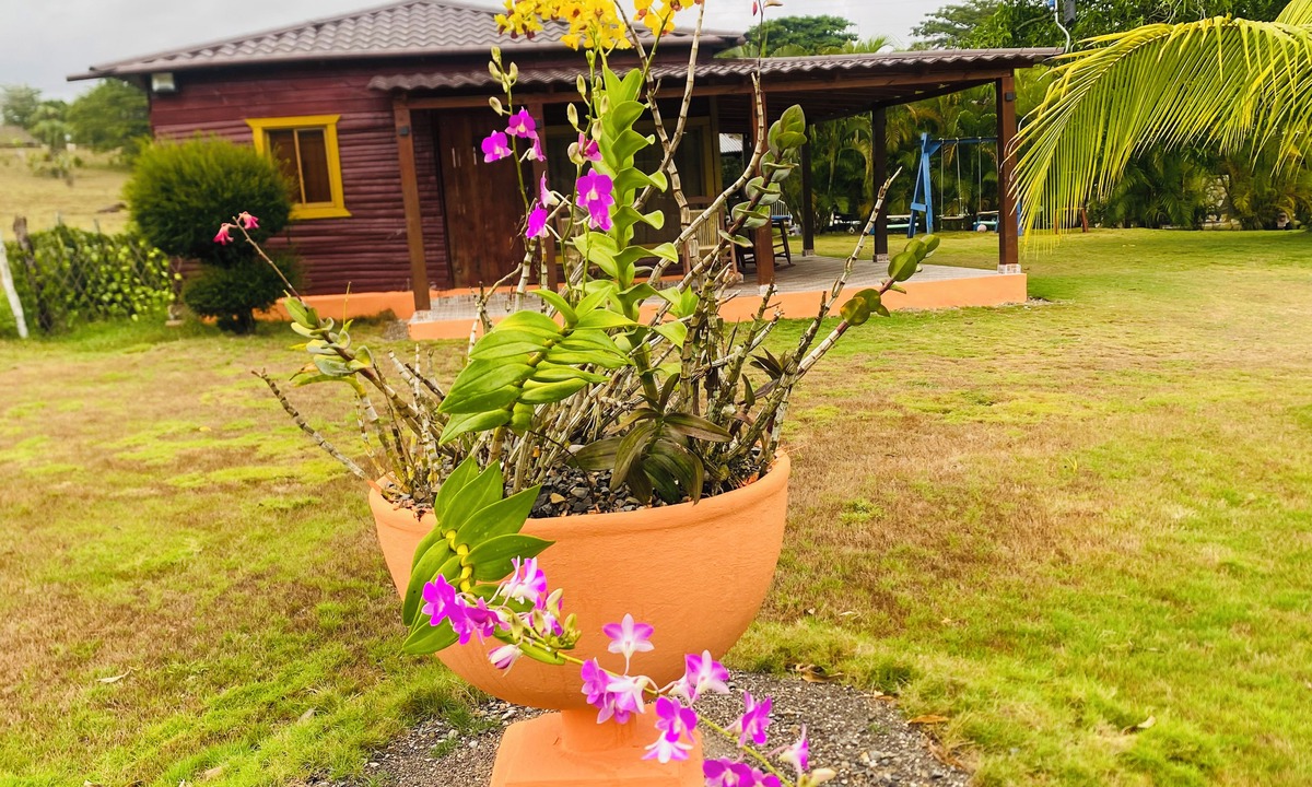 Higuey Ski Chalet | Villa Idalis | Cozy country villa with a private pool near the river