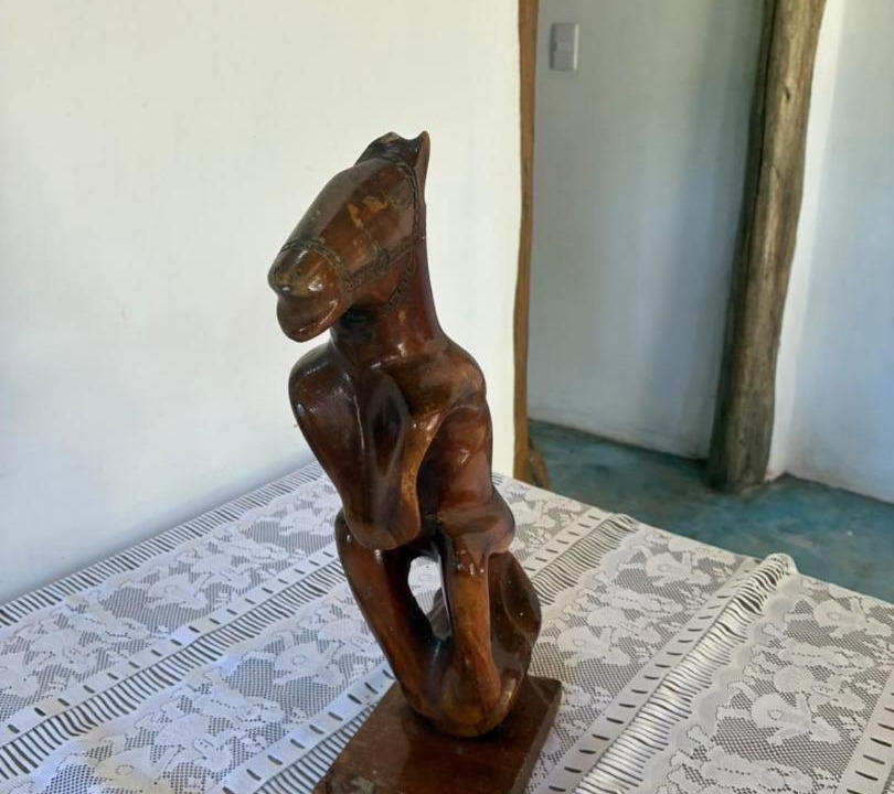 Las Galeras House | Casa Rancho
