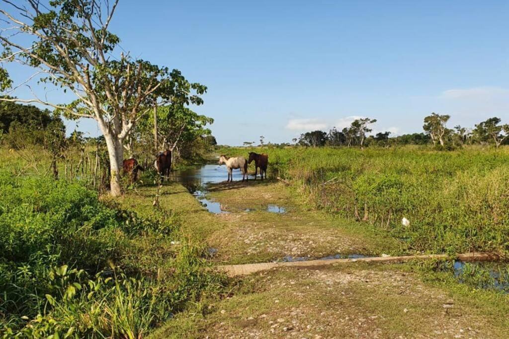 Las Terrenas Villa | Cada