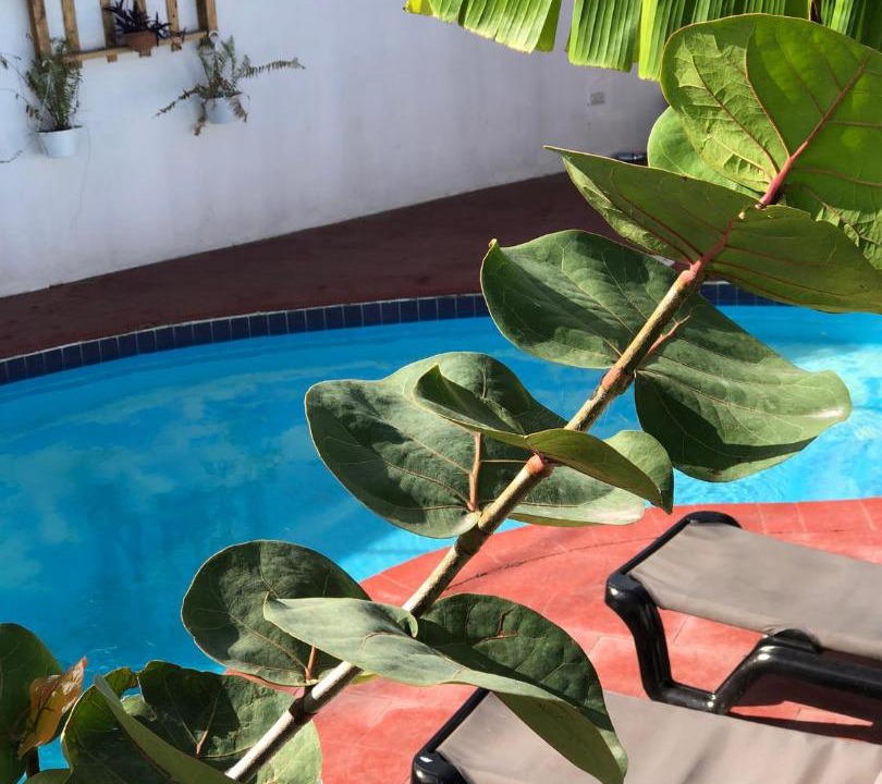 Bavaro Apartment | Barlovento