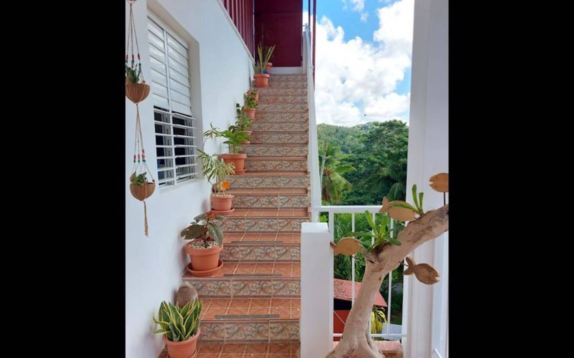 Photo of Others in Samana