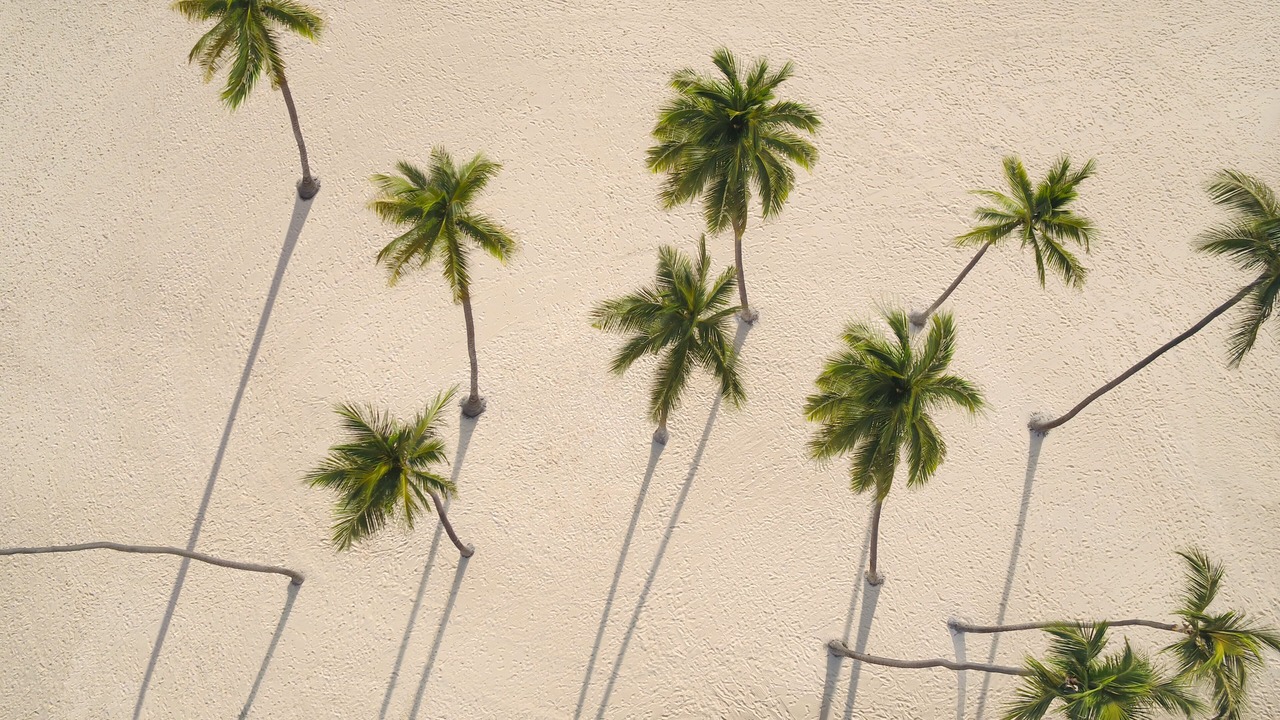 Photo of Outdoor in Bavaro