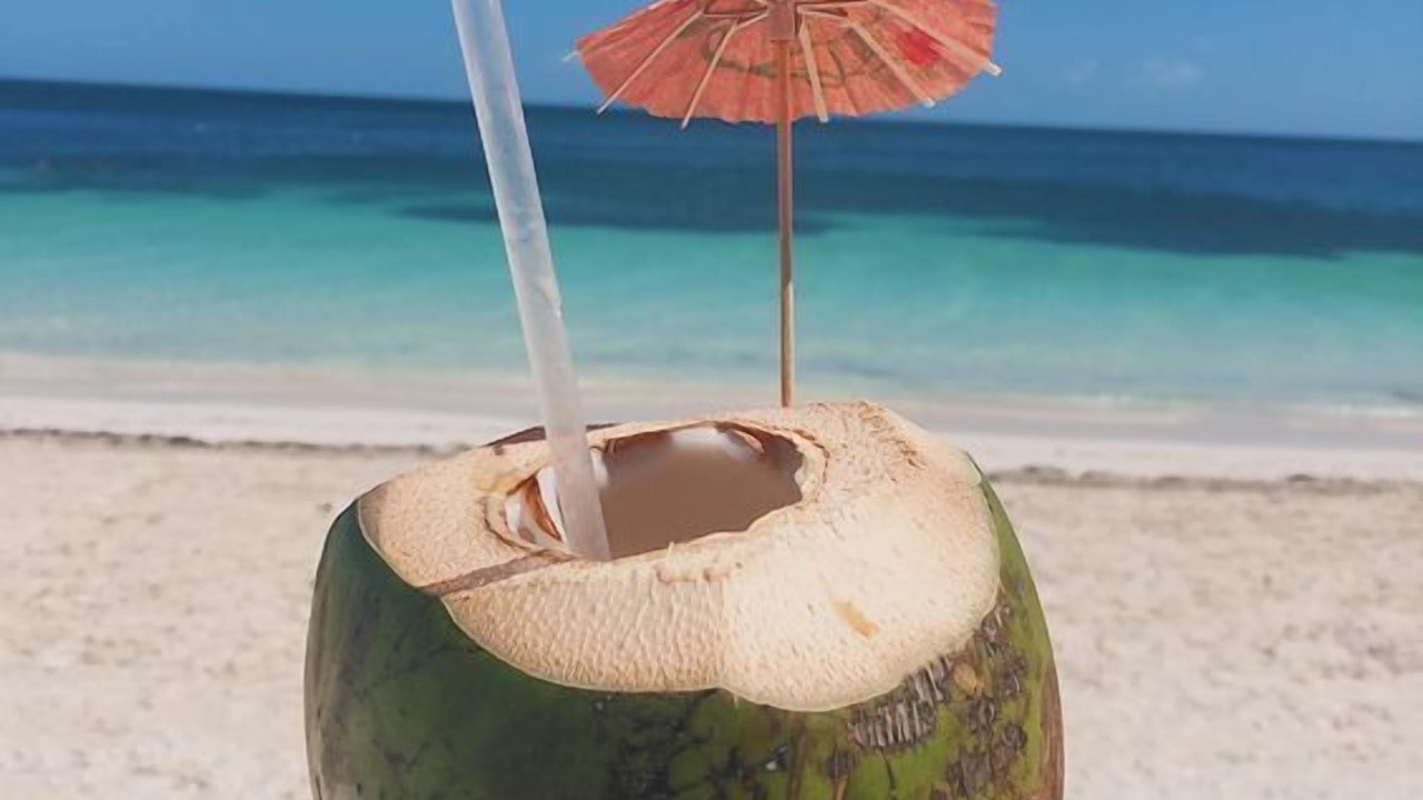 Photo of Others in Las Terrenas