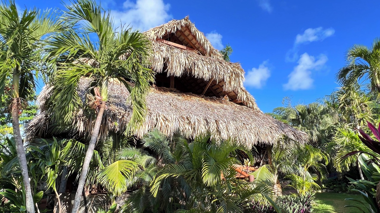 Photo of Others in Las Galeras