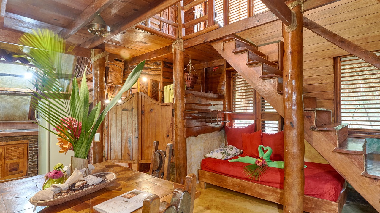 Photo of Outdoor in Las Galeras