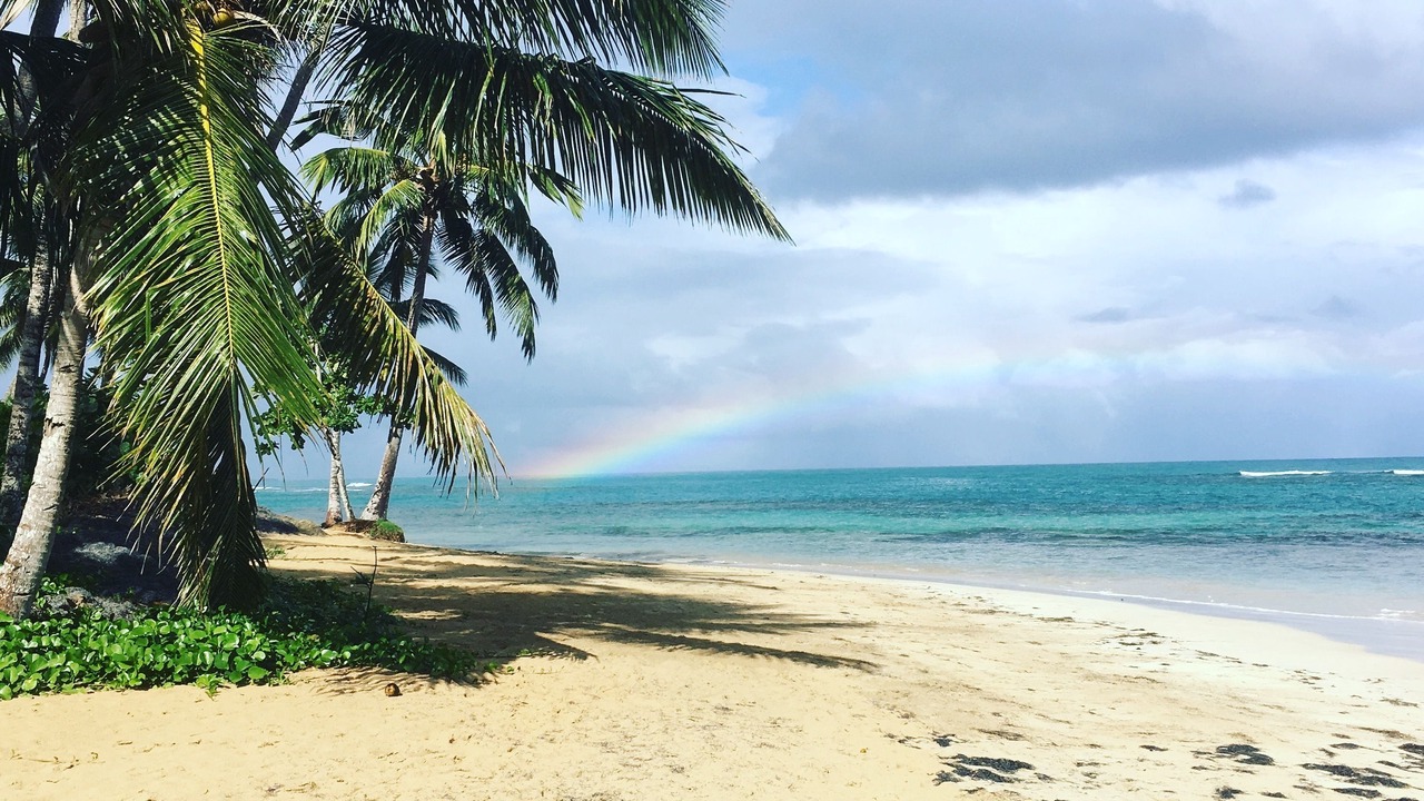 Photo of Others in Las Terrenas