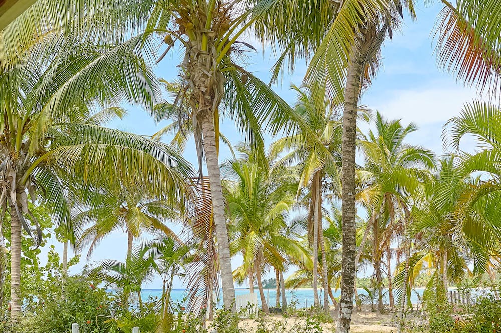 Photo of Outdoor in El Limon