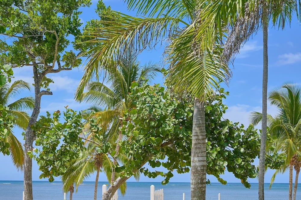 Photo of Outdoor in El Limon