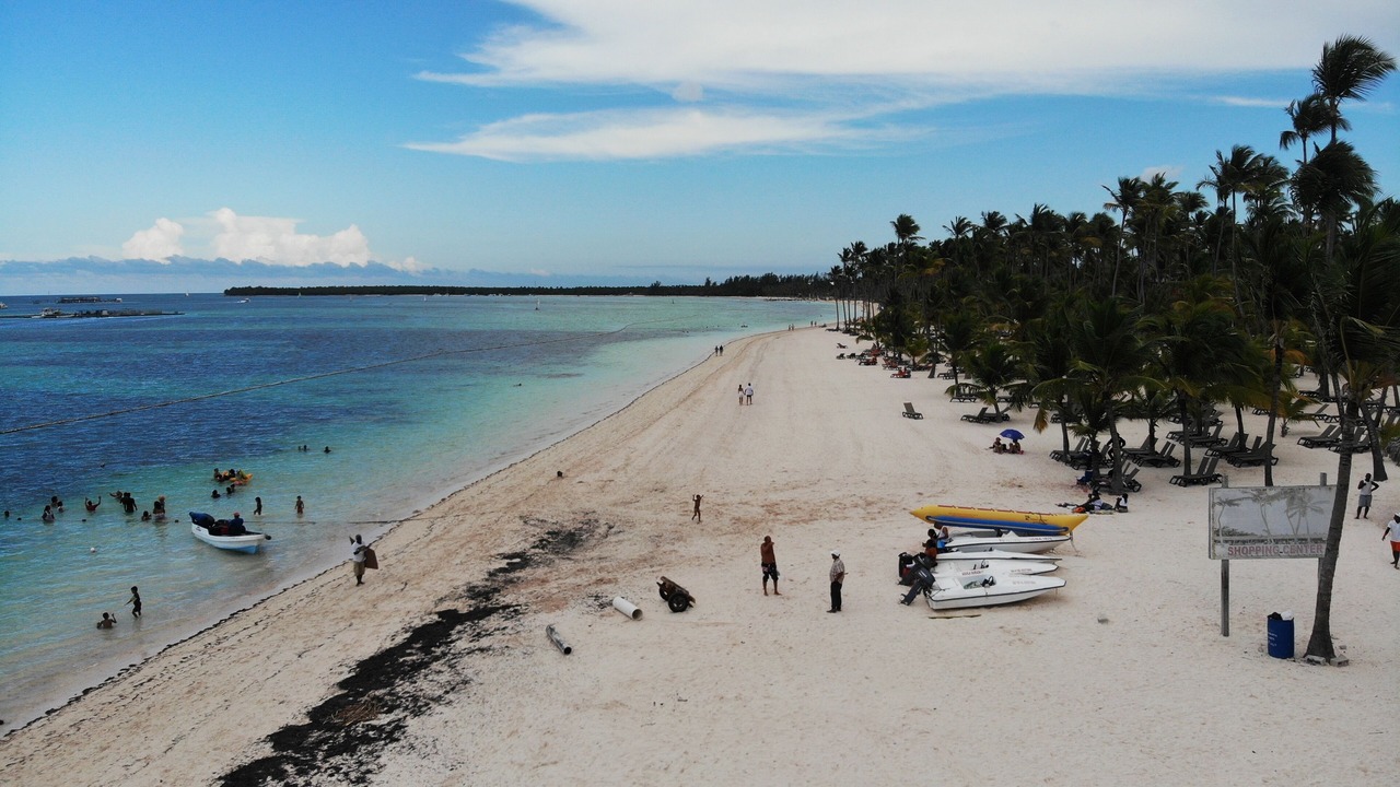 Photo of Others in Playa Bibijagua