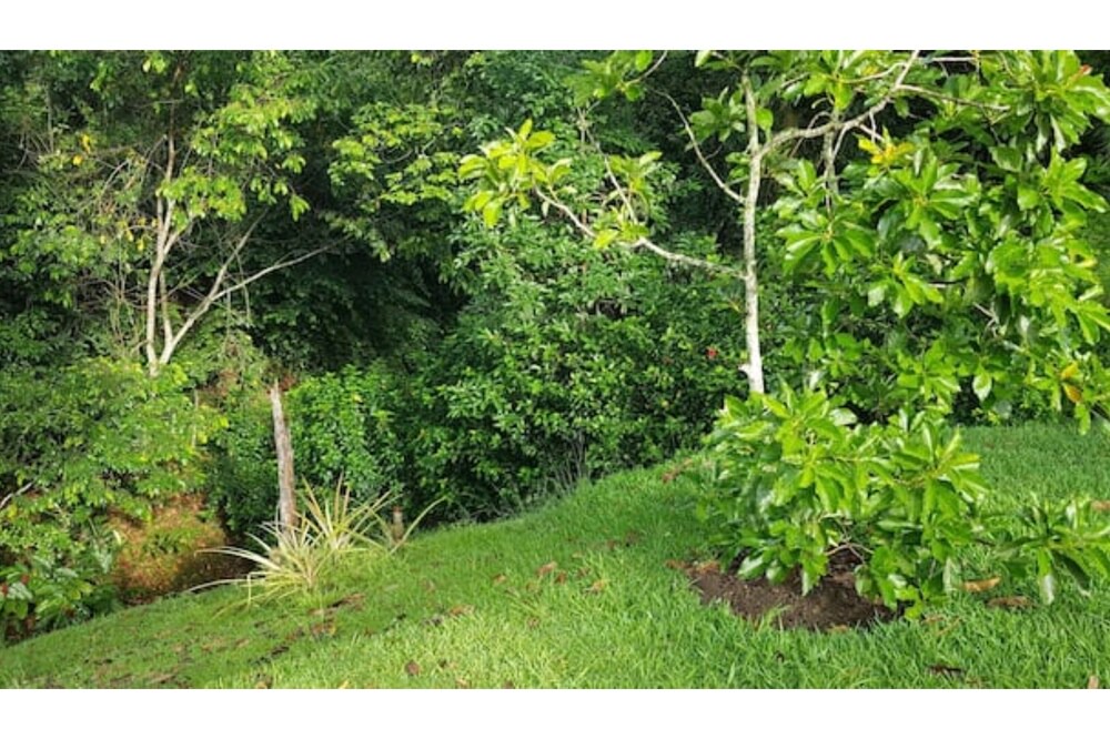 Photo of Outdoor in La Vega Province
