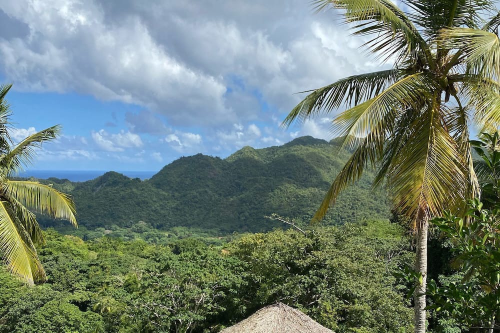Photo of Outdoor in El Limon